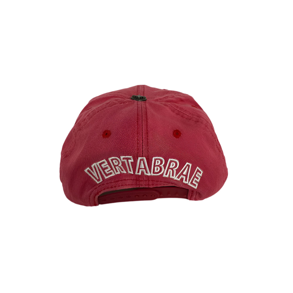 VINTAGE SNAPBACK "RED"
