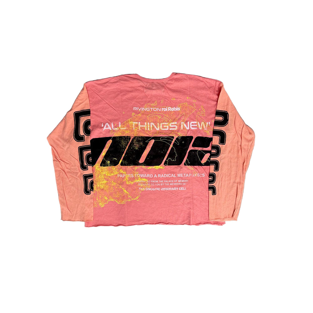 ALL THINGS NEW ENEMY LS TEE